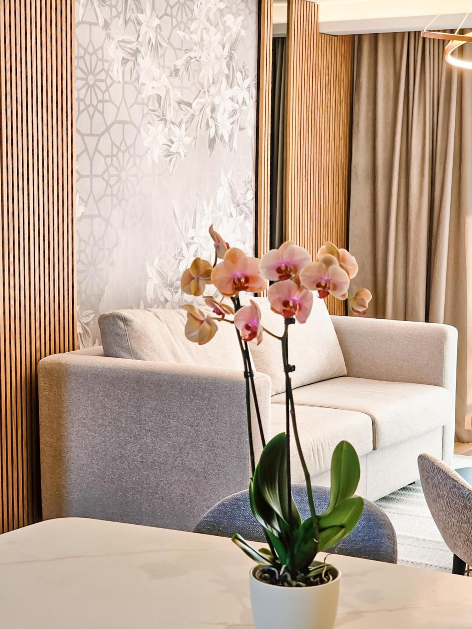 The New Hotel Mediteran - Villa Edition 乌尔齐尼 客房 照片